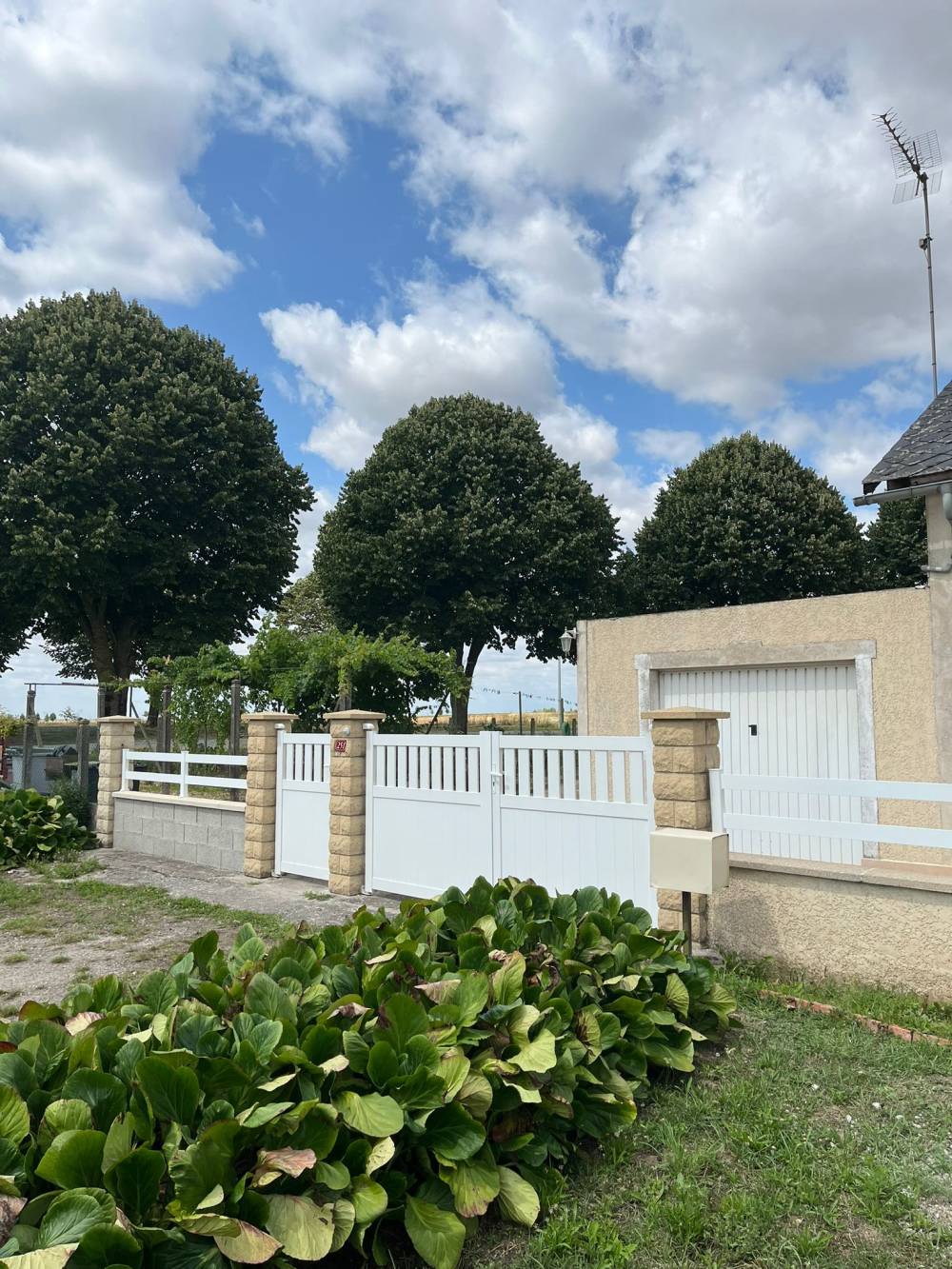 WhatsApp Image 2025-07-31 à 15.17.50_30c1b3c4